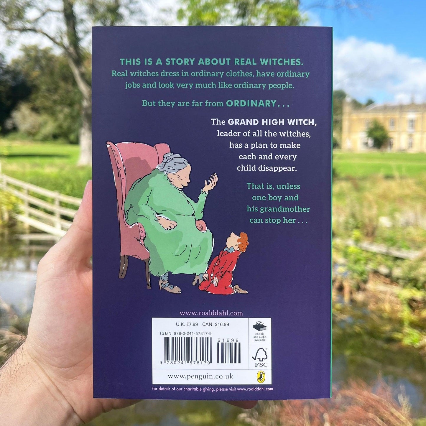 The Witches by Roald Dahl (Reissue Edition)