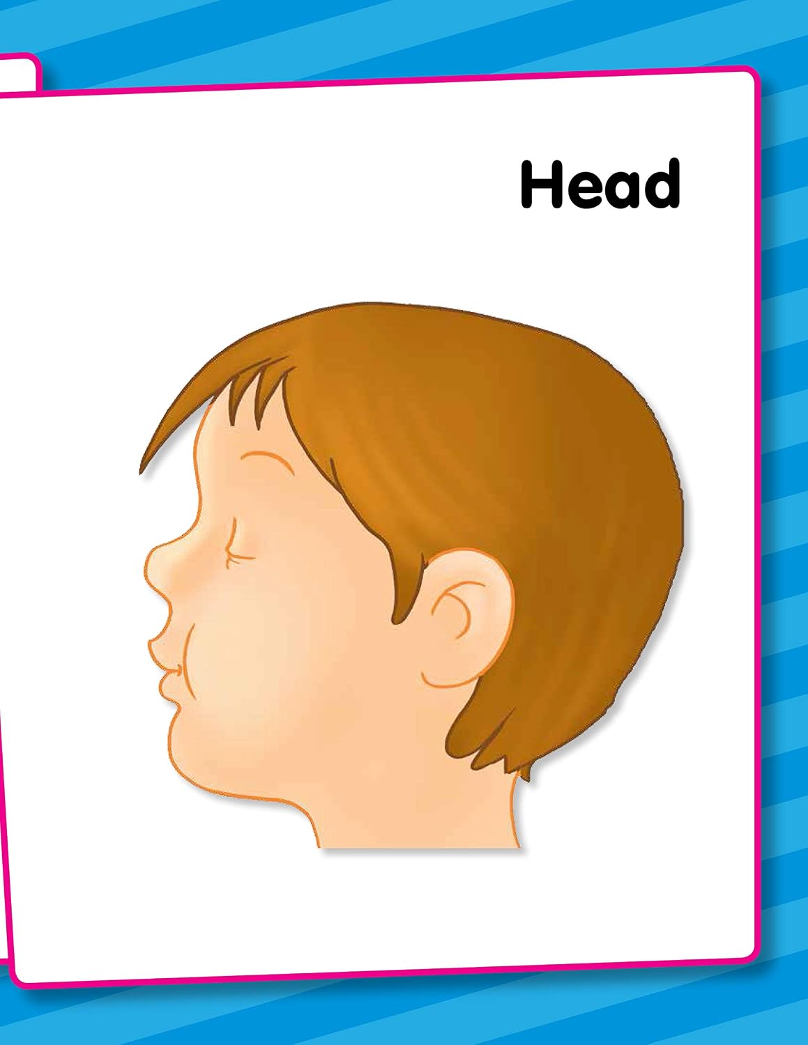 My Body: My First Preschool Book