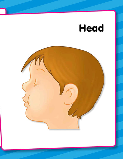My Body: My First Preschool Book