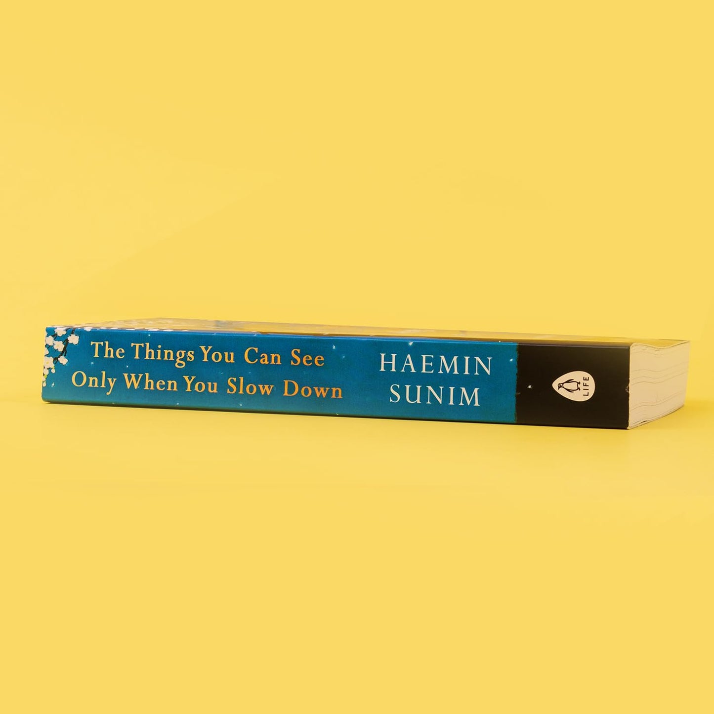 The Things You Can See Only When You Slow Down – Haemin Sunim