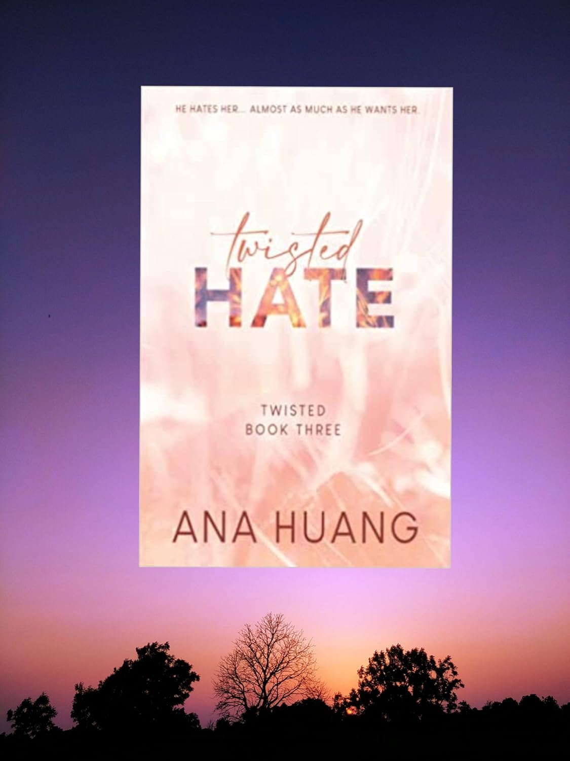 Twisted Hate (Twisted Book 3)