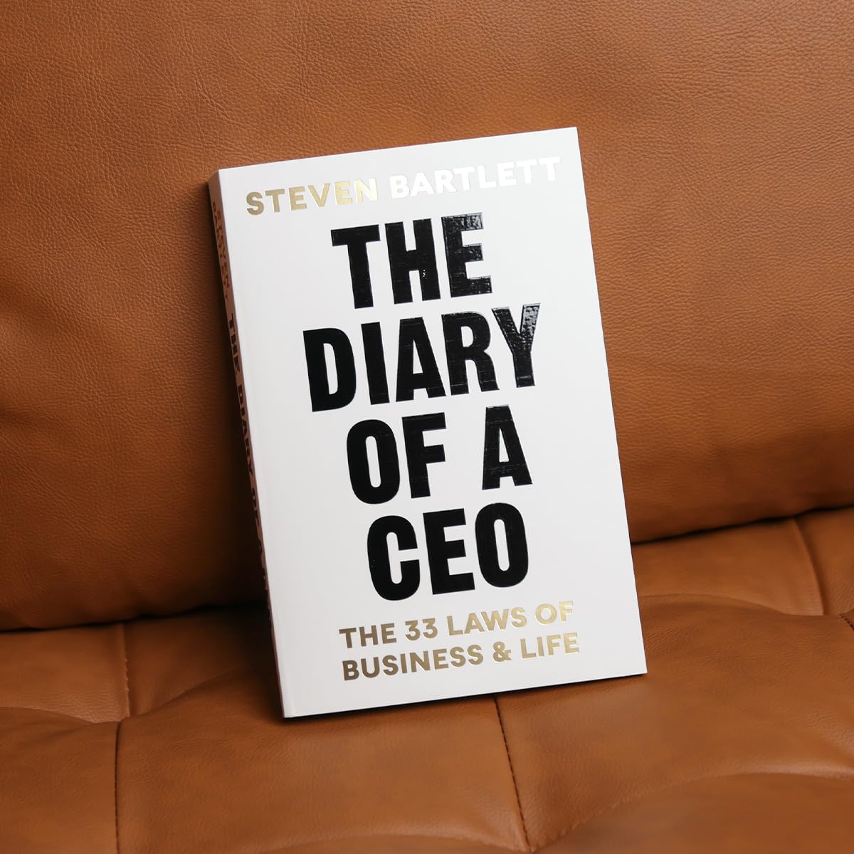 The Diary of a CEO: The 33 Laws of Business and Life by Steven Bartlett