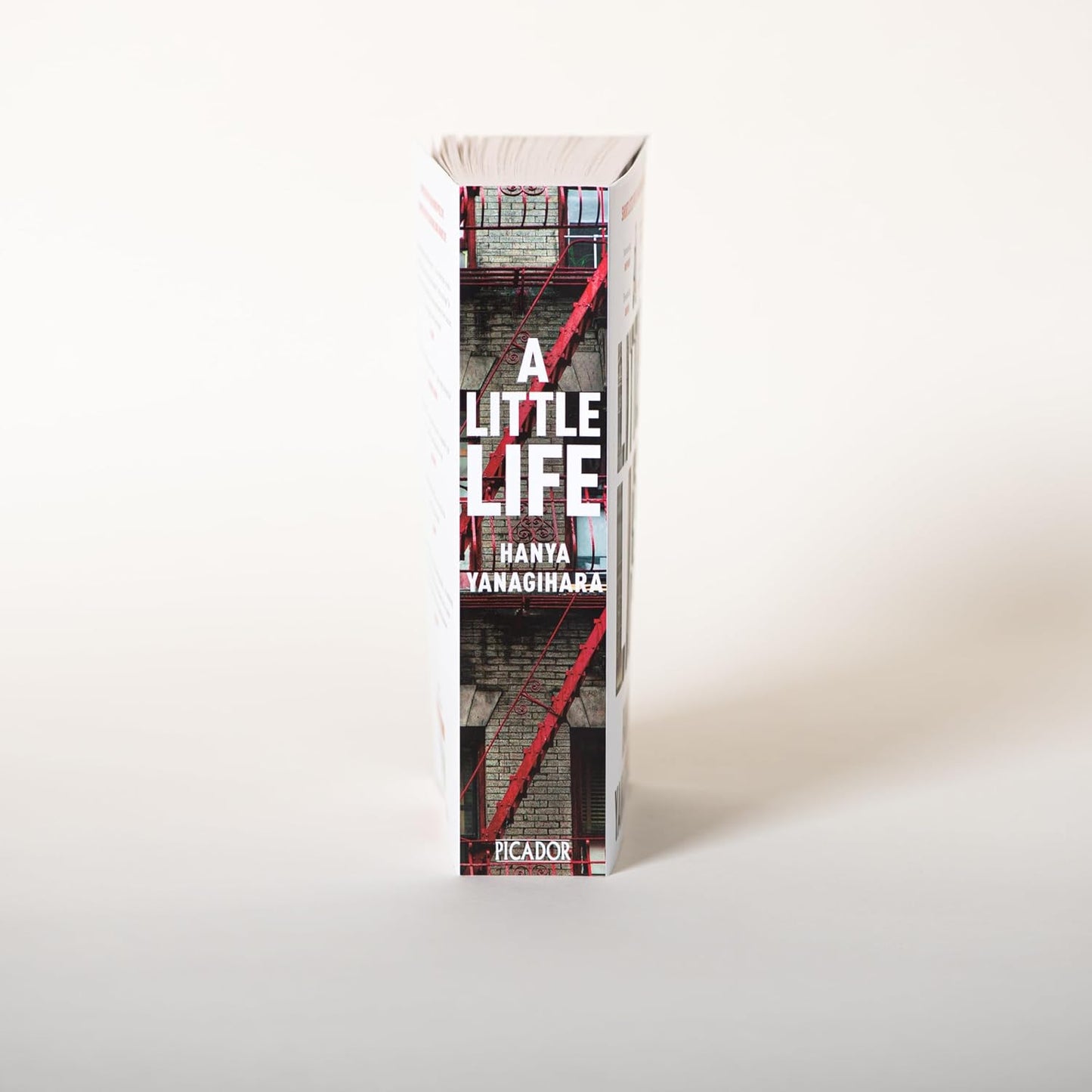 A Little Life by Hanya Yanagihara