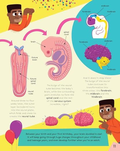 All Brains Are Wonderful