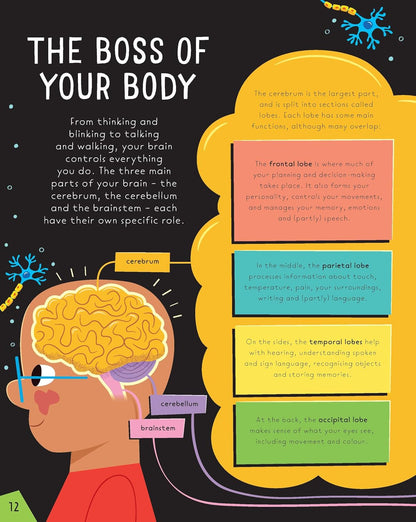 All Brains Are Wonderful