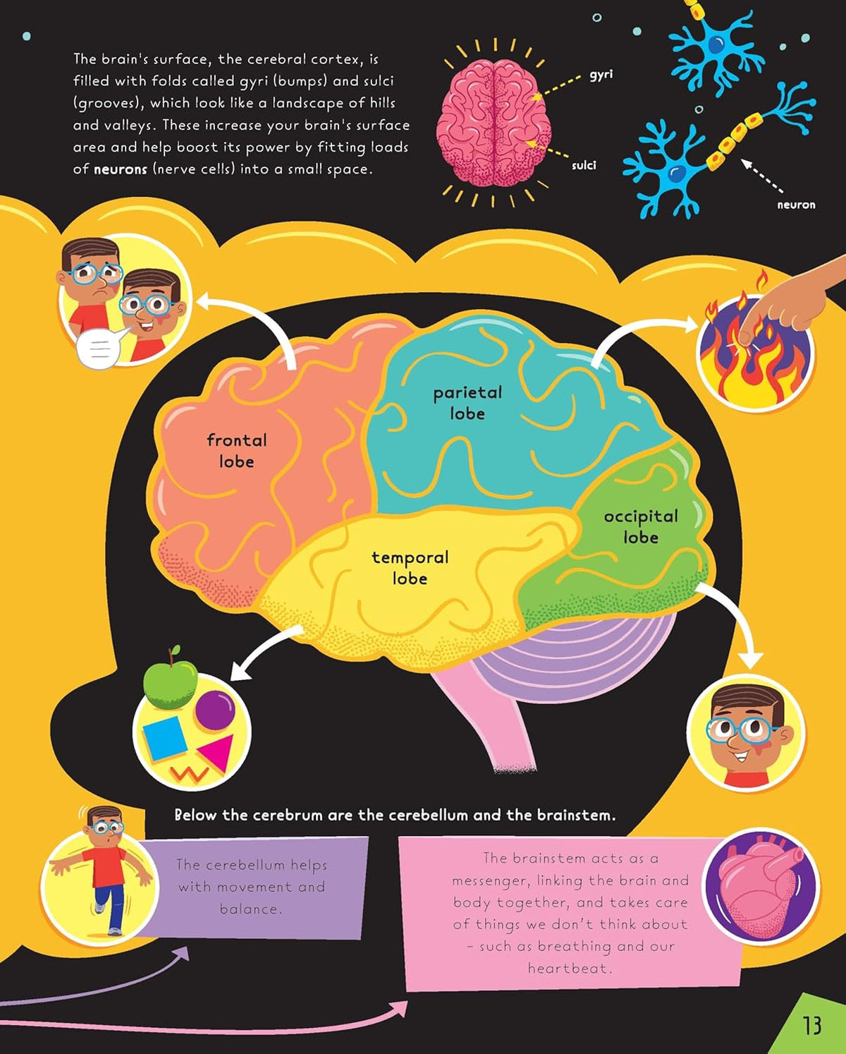 All Brains Are Wonderful