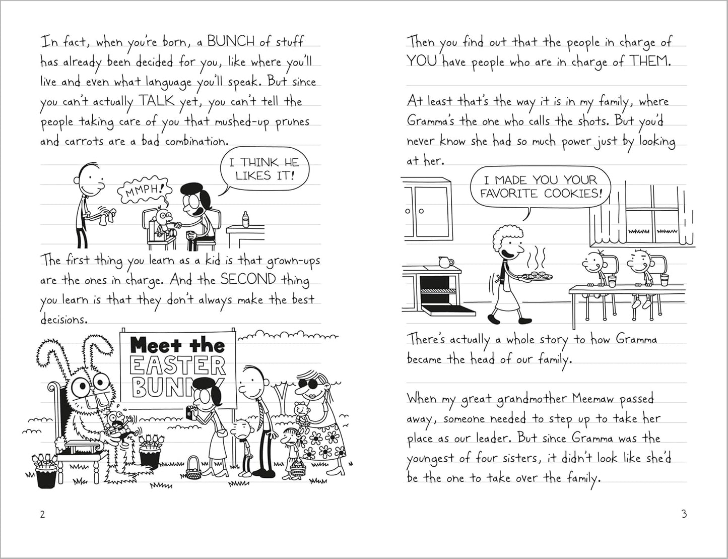 Diary of a Wimpy Kid: Hot Mess (Book 19)