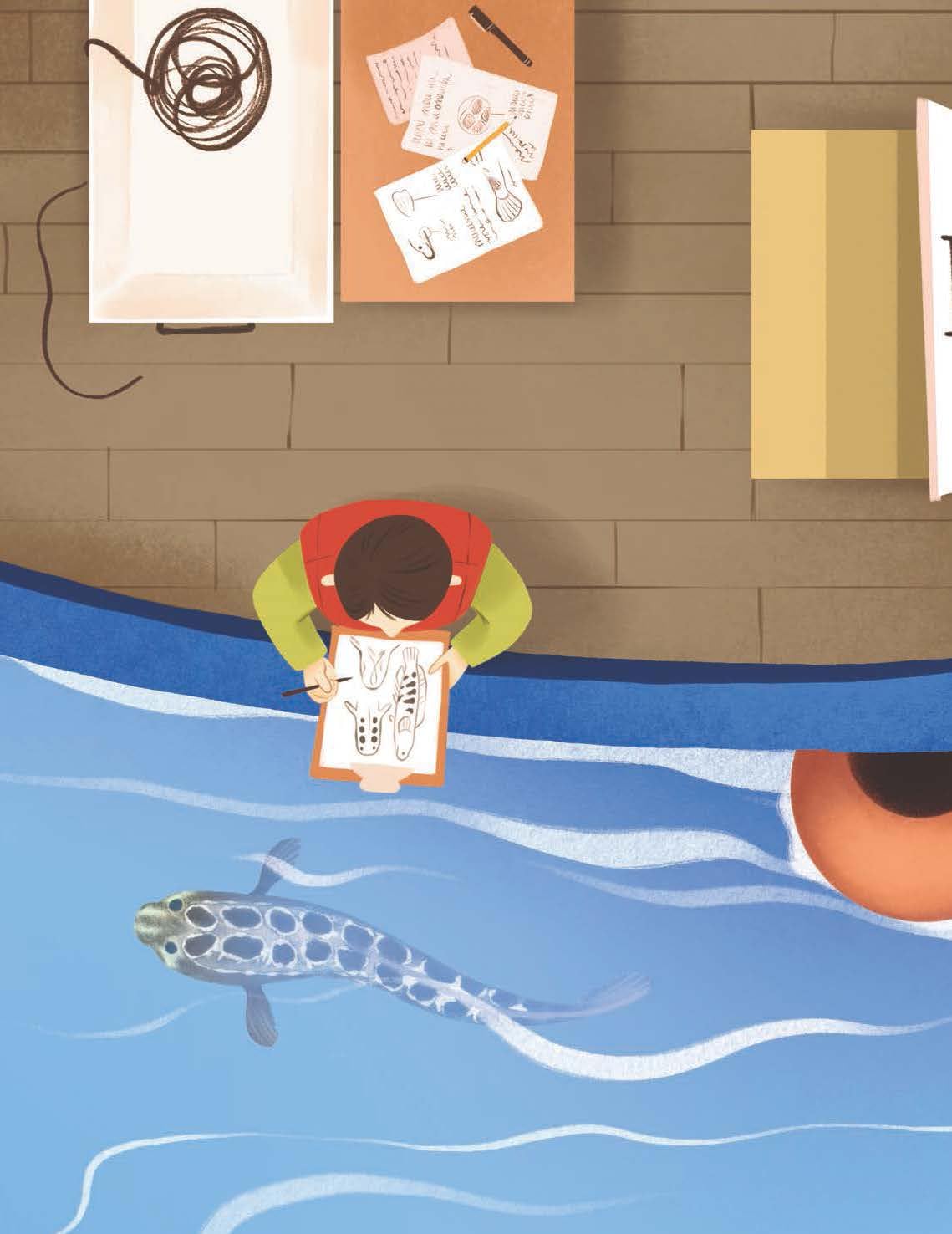 Do Fish Only Live Under Water? Ichthyology