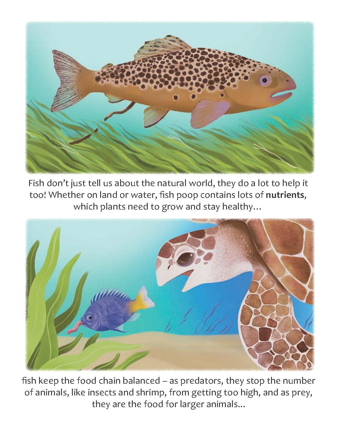 Do Fish Only Live Under Water? Ichthyology