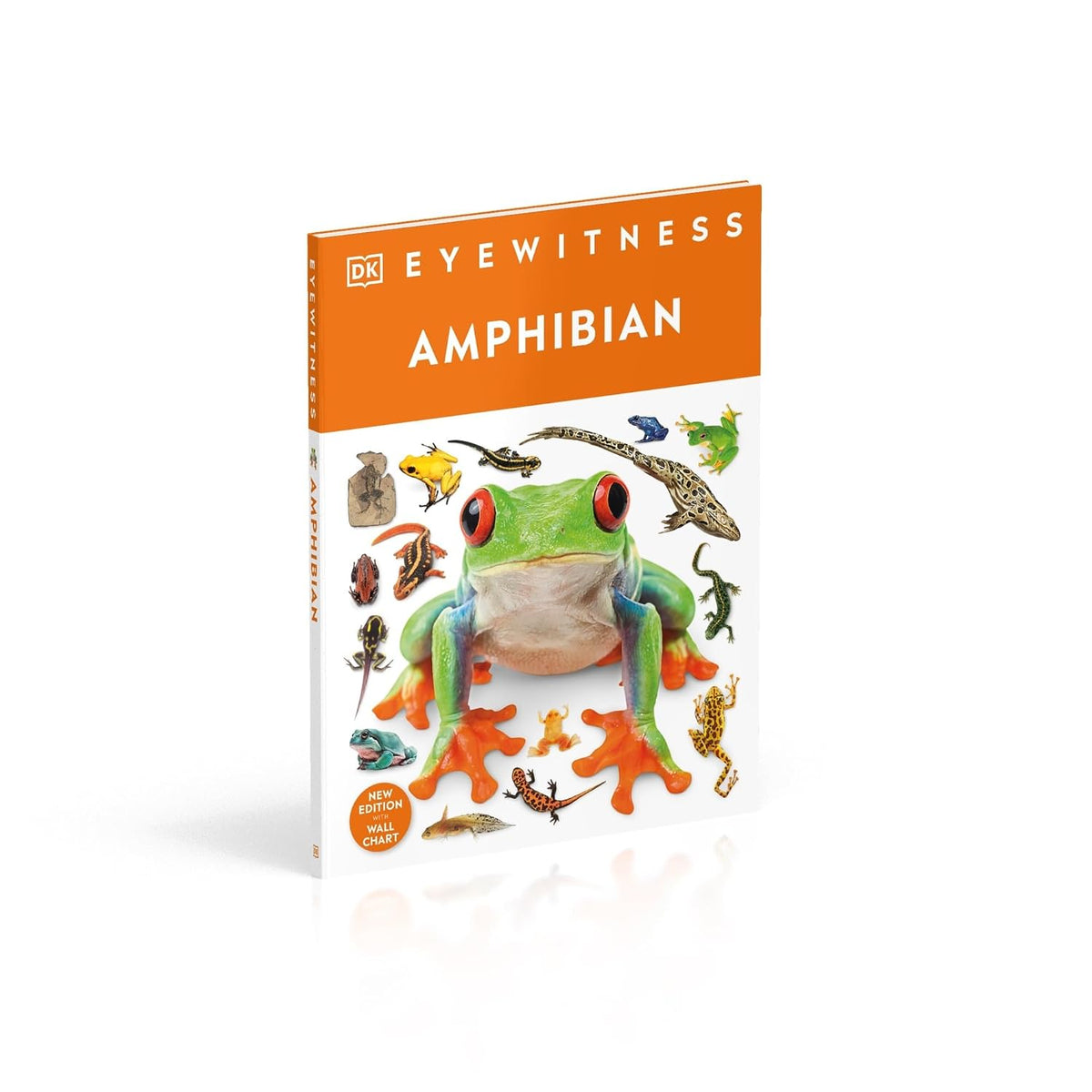 Eyewitness Amphibian