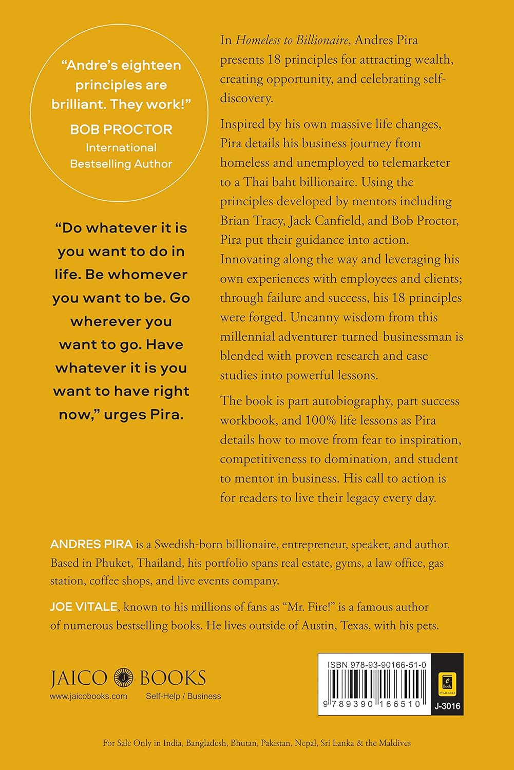 Homeless to Billionaire: 18 Principles of Wealth Creation by Andres Pira