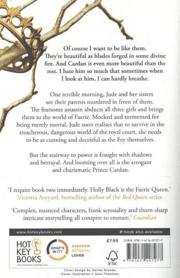 The Cruel Prince by Holly Black