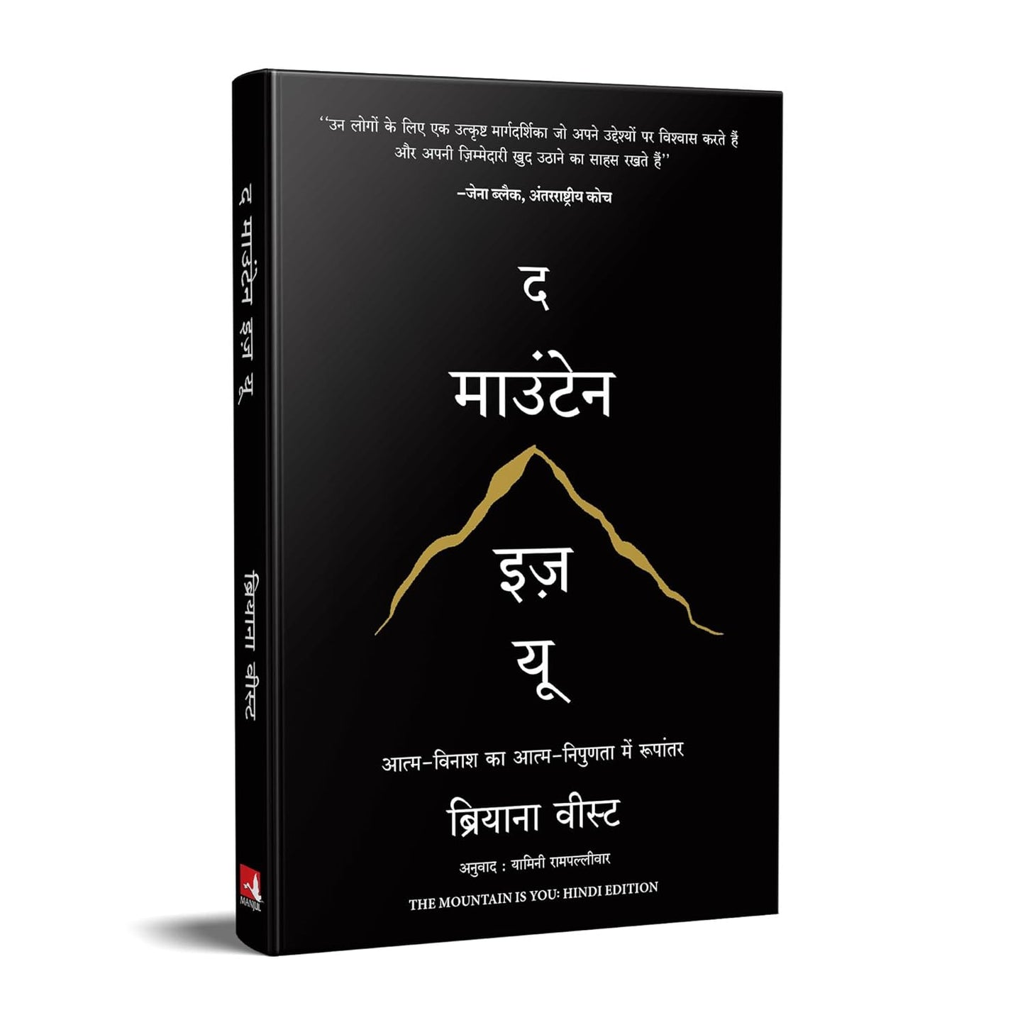 The Mountain Is You: Transforming Self-Sabotage Into Self-Mastery|Hindi