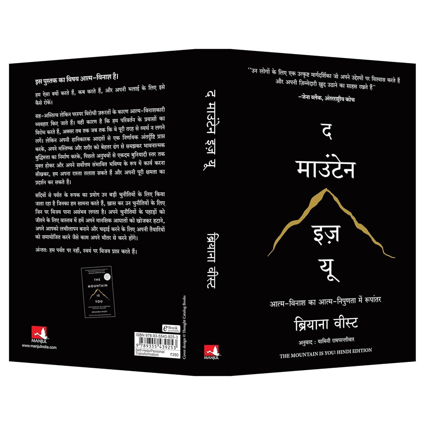 The Mountain Is You: Transforming Self-Sabotage Into Self-Mastery|Hindi